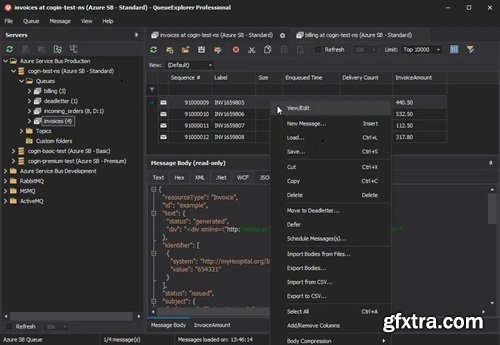 QueueExplorer Professional 5.0.64 QueueExplorer Professional 5.0.64