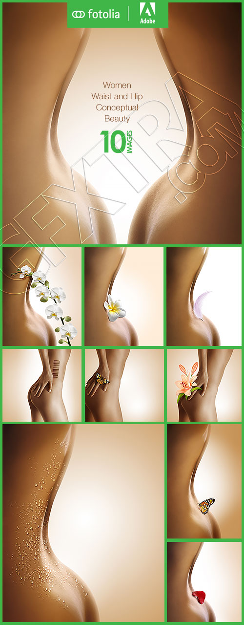Women Waist and Hip Conceptual Beauty 10xJPG Women Waist and Hip Conceptual Beauty 10xJPG