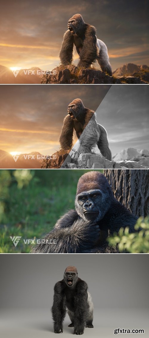 VFX Grace - Silverback Gorilla 3D Model Rigged for Realistic Animations in Blender