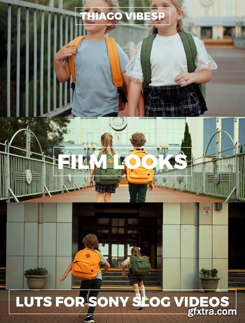 Thiago Vibesp - Cinematic LUTs for Sony S-log Videos
