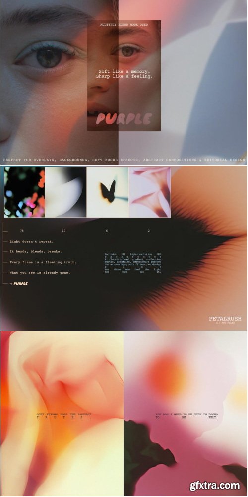 Etsy - PETALRUSH - Floral Gradient Backgrounds