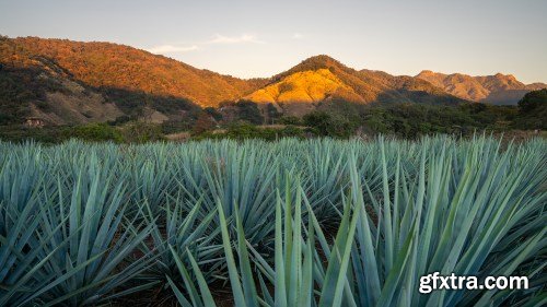 Phlearn - The Beginner’s Guide to Travel Photo Editing Phlearn - The Beginner’s Guide to Travel Photo Editing