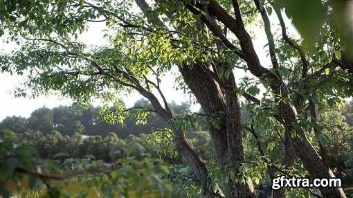 Evermotion - Archmodels for Corona Vol. 1 Evermotion - Archmodels for Corona Vol. 1