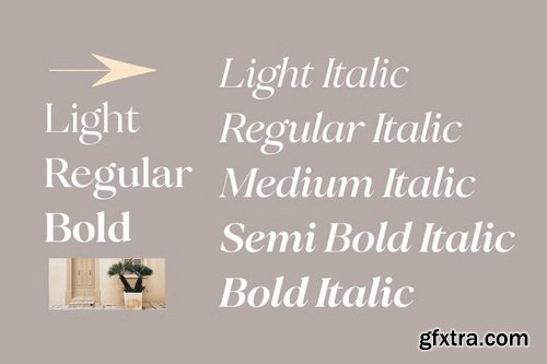 CreativeMarket - Perfect Challenge Serif Family