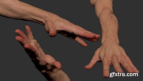 Artstation - Neutral Hand Tutorial