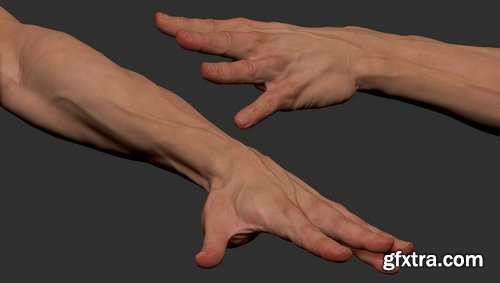 Artstation - Neutral Hand Tutorial
