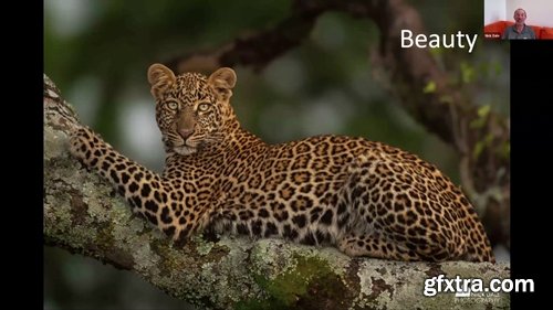 Nature Photographers Network - Nick Dale - How to Stand Out From the Herd Nature Photographers Network - Nick Dale - How to Stand Out From the Herd