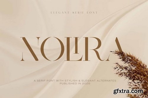 CreativeMarket - Nolira Elegant Serif Font