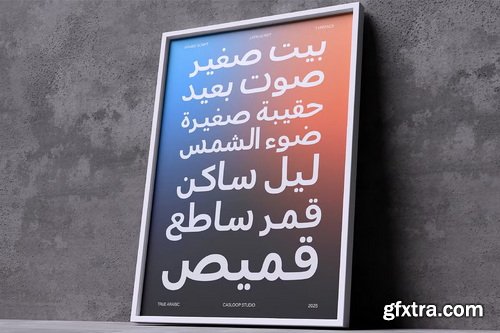 CreativeMarket - True Arabic - Coorporate Clean Sans