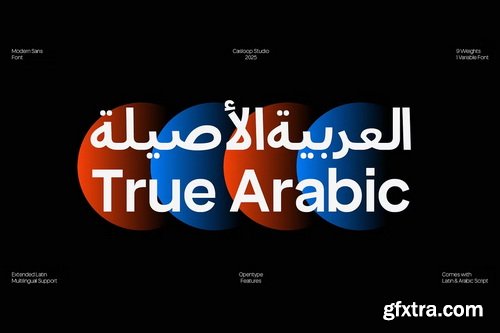 CreativeMarket - True Arabic - Coorporate Clean Sans
