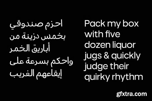 CreativeMarket - True Arabic - Coorporate Clean Sans