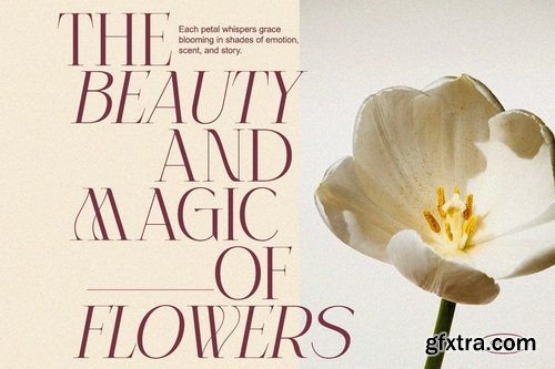 CreativeMarket - Celestira Modern Elegant Luxury