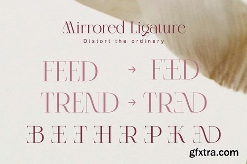 CreativeMarket - Celestira Modern Elegant Luxury