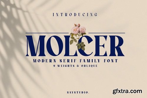 CreativeMarket - Molcer Modern Serif Font