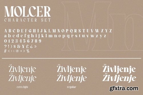 CreativeMarket - Molcer Modern Serif Font