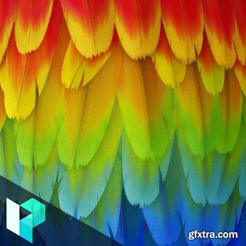 Gumroad - Levelup Digital - Feather Creation | Romain Lemaire