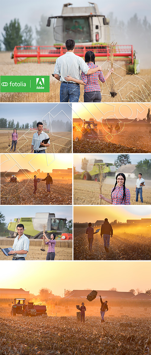 People at Harvest 8xJPG People at Harvest 8xJPG