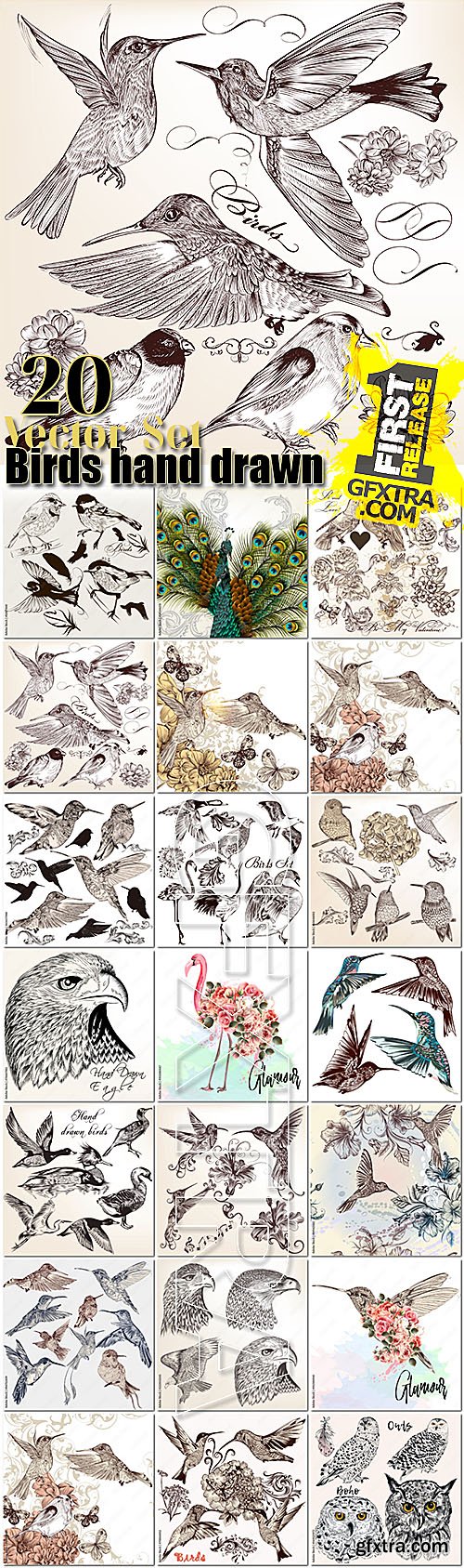 Birds collection of 20 vector hand drawn detailed for design Birds collection of 20 vector hand drawn detailed for design