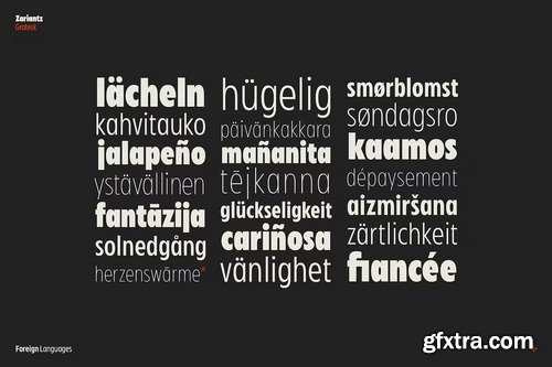 CreativeMarket - Zariantz Grotesk Variable
