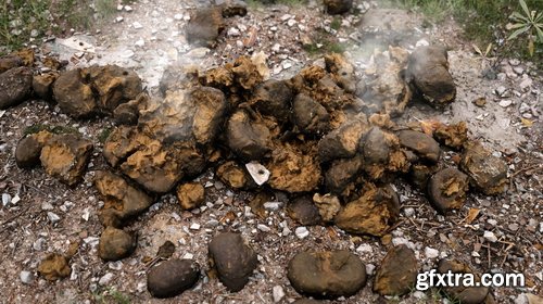 Quixel MegaScans - Wild West Collections