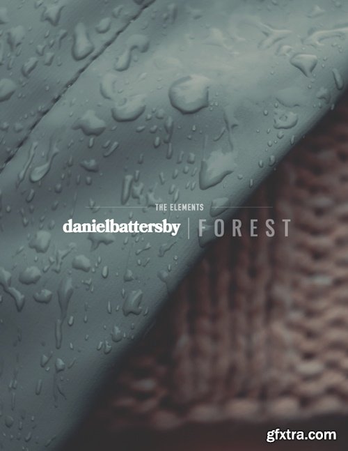 Daniel Battersby - The Elements - The Forest Series Presets + Toolkit