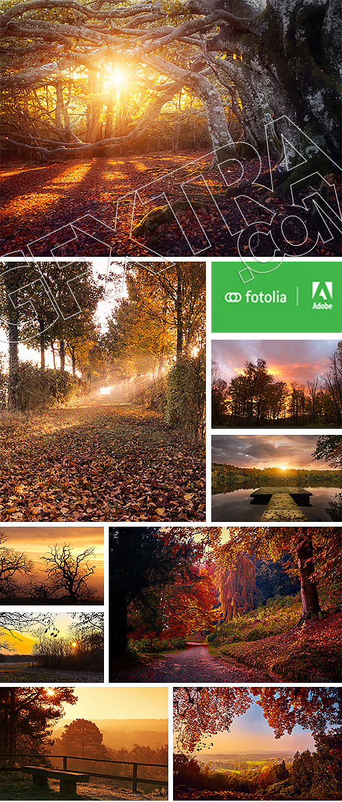 Beautiful Autumn Forest & Landscape #2, 25xJPG Beautiful Autumn Forest & Landscape #2, 25xJPG
