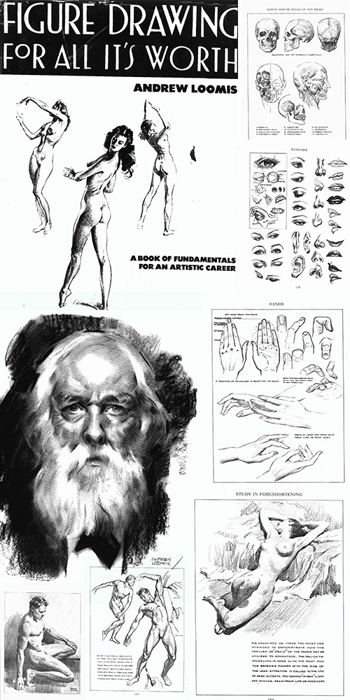 Andrew Loomis-Figure Draw For All It's Worth Andrew Loomis-Figure Draw For All It's Worth