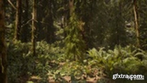 Fab - Hemlock Forest / Jungle