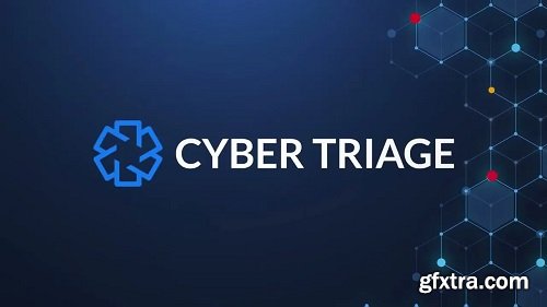 Cyber Triage Pro 3.15.0