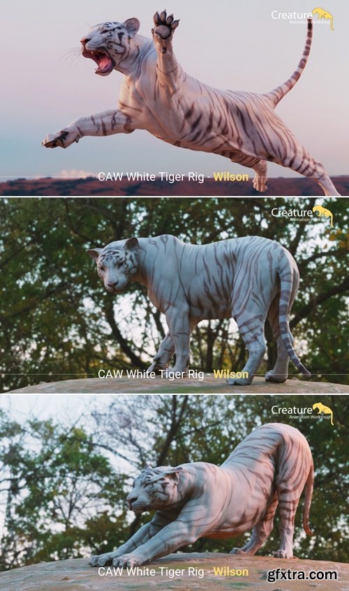 Gumroad - Wilson White Tiger Rig