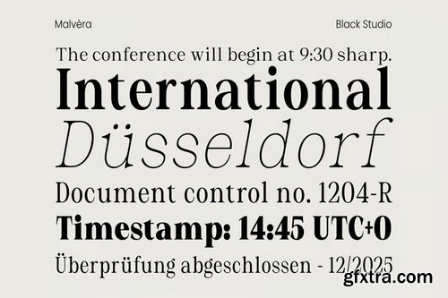 Malvera Variable Serif Typeface - 108 Font