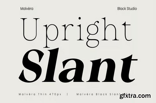 Malvera Variable Serif Typeface - 108 Font
