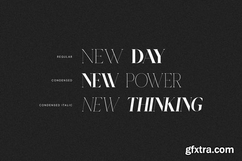 CreativeMarket - The Reals Paradisen Serif Family - 27 Font