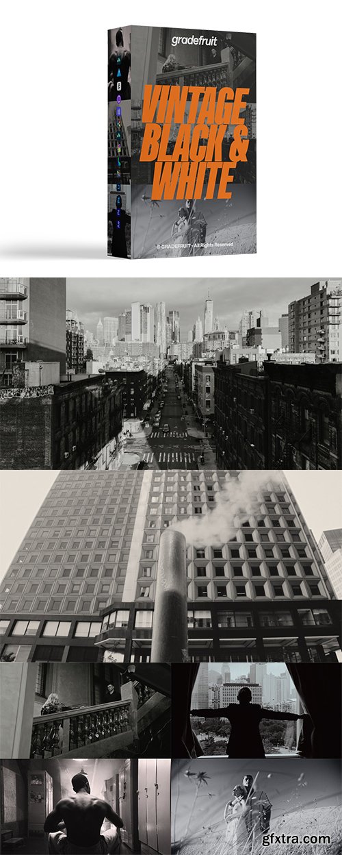 GradeFruit - Vintage Black and White LUTs & LR Presets GradeFruit - Vintage Black and White LUTs & LR Presets