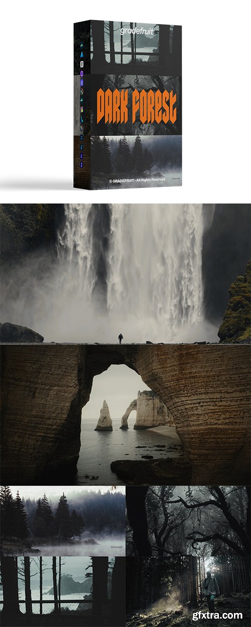 GradeFruit - Dark Forest LUTs & LR Presets GradeFruit - Dark Forest LUTs & LR Presets