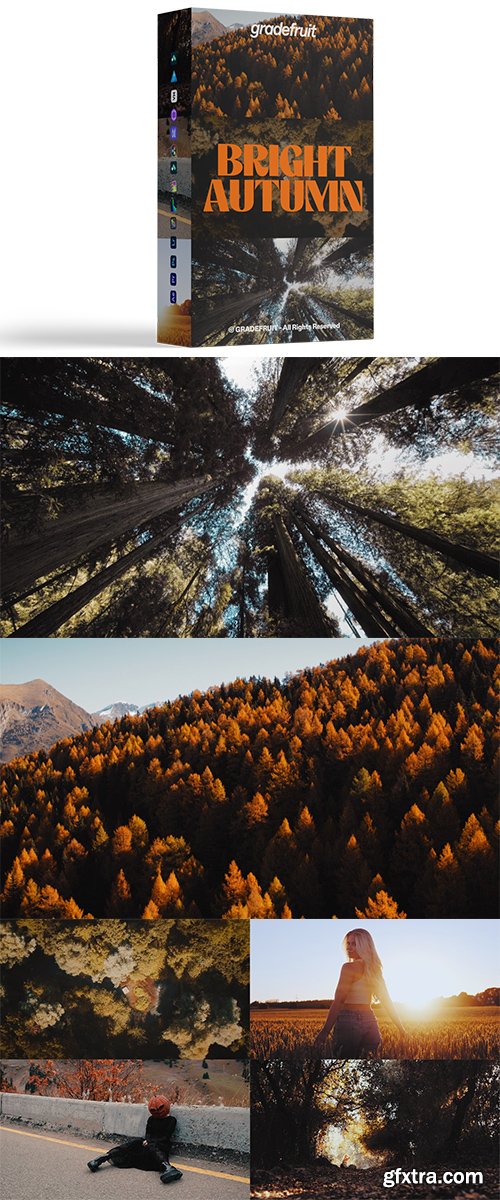 GradeFruit - Bright Autumn LUTs & LR Presets GradeFruit - Bright Autumn LUTs & LR Presets