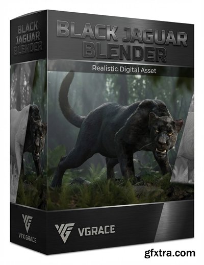 VFX Grace - Black Jaguar Blender