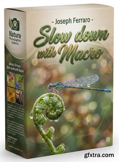 Nature Photographers Network - Joseph Ferraro - Slow down with Macro Nature Photographers Network - Joseph Ferraro - Slow down with Macro