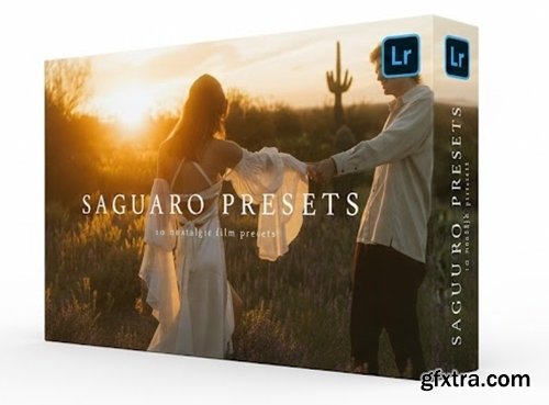 Meridian Presets - Saguaro Nostalgic Film Presets