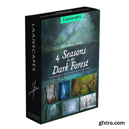 Laam Scapes - Daniel Laan - 4 Seasons in the Dark Forest