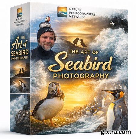 Nature Photographers Network - The Art of Seabird Photography