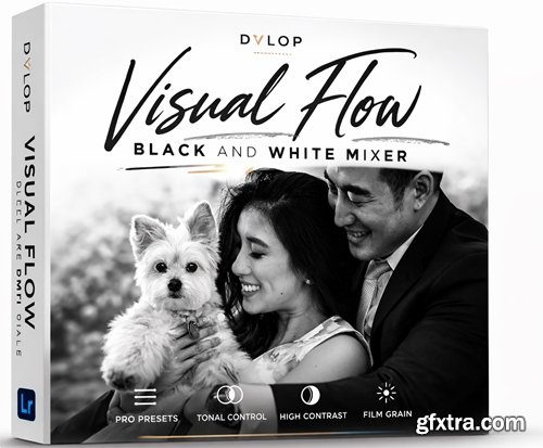DVLOP - Visual Flow - Black and White Mixer