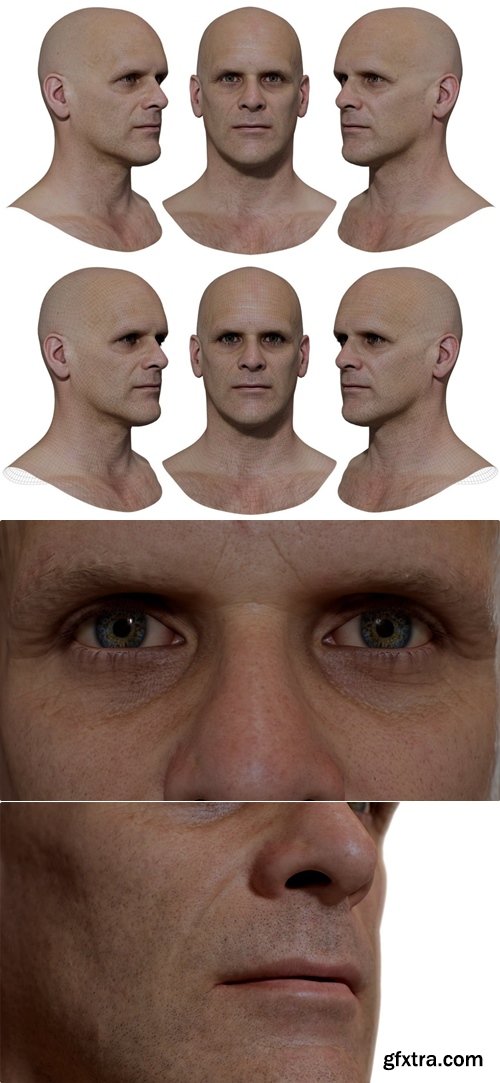 3DScanStore - 3D Head Model / Male Head Scan 22