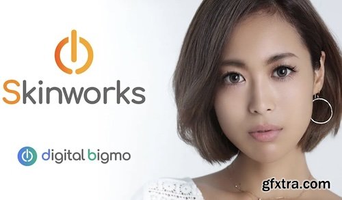 digitalbigmo Skinworks 2026.1.1 digitalbigmo Skinworks 2026.1.1