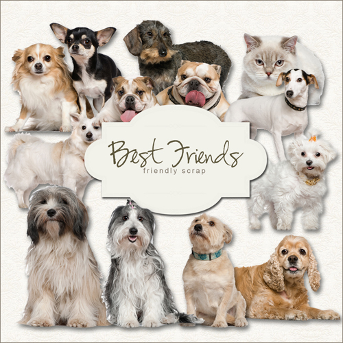 Scrap-kit - Best Friends