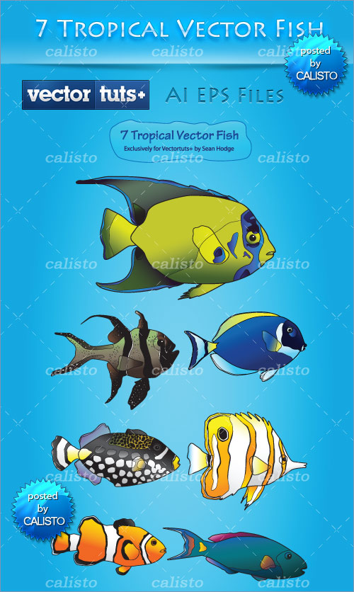 Colorful Vector Premium Pack – Tropical Fish