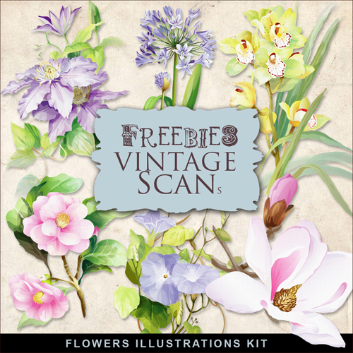 Scrap-kit - Flowers Images Vol.12 - Vintage Style