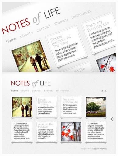 ElegantThemes - DailyNotes v4.4 Wordpress Theme