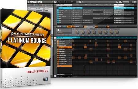 Native Instruments Platinum Bounce MASCHINE Dumped EXPANSiON