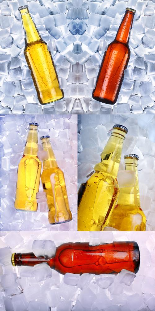 Bottles in Ice